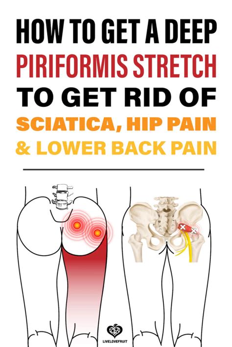 Deadlift muscles will include knee, hip, and back extensors, which primarily include the quads, glutes, and spinal erectors. How To Get A Deep Piriformis Stretch To Get Rid of ...