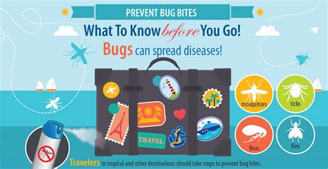 Infographic Protect Yourself From Disease Carrying Bugs While On Vacation