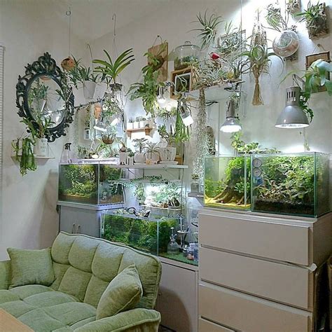 Country Home Interior In 2020 Home Aquarium Room With Plants Home