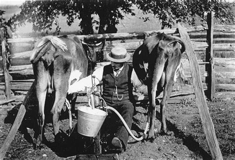 Early History · The American Dairy Industry