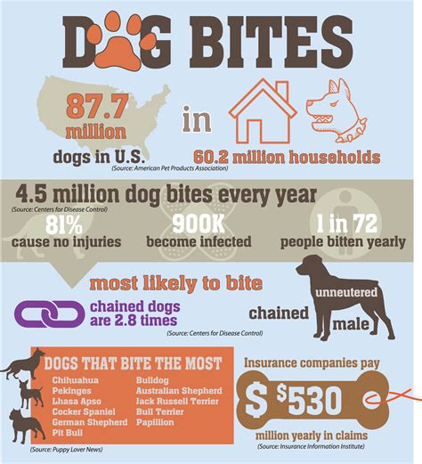 Infographic Shows Statistics About Dog Bites Johns Flaherty