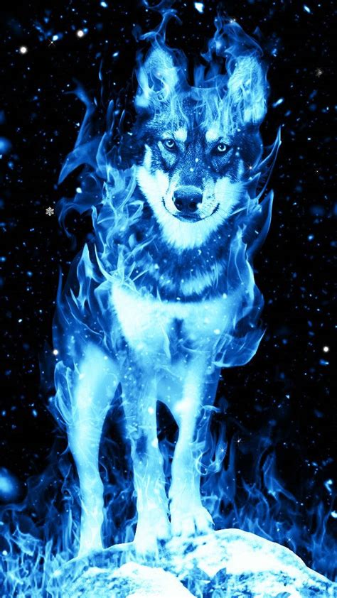 100 Blue Wolf Wallpapers