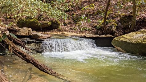 Copperas Falls And Sandy Arch Out And Back — Kentucky Hiker Project
