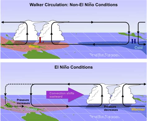 [diagram] el nino la nina diagram and easy mydiagram online