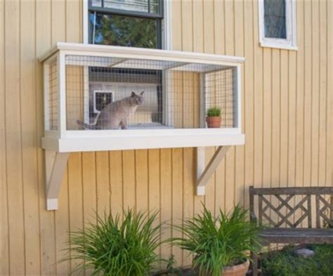 Beaded banner kit cat in window 9.75x14.75 diy. 3 Safe Window Ideas for Cats: Window Box, Cat Solarium ...