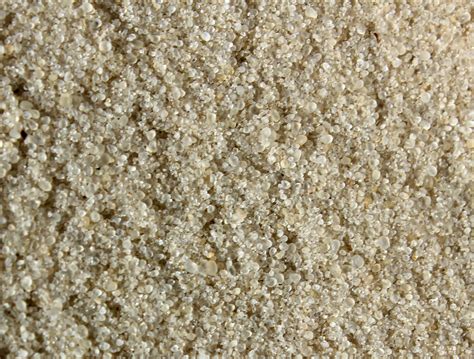 Grainy Sand Texture Image Free Stock Photo Public Domain Photo