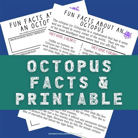 Interesting Facts About An Octopus Free Printable Octopus Trivia