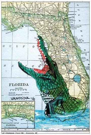 Alligators In Florida Map Time Zones Map World