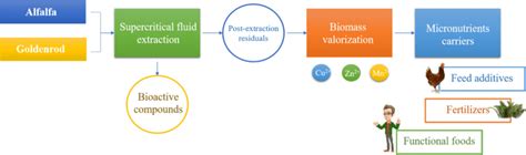 Is biomass conversion and biorefinery's impact factor high enough to try publishing my article in it? Valorization of waste biomass as micronutrient carriers ...