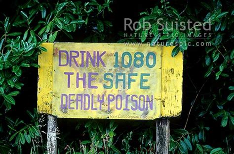 Anti 1080 Poison Sign Protest Sign Reefton Buller District West