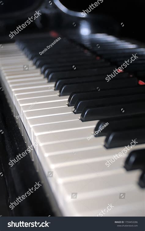 Ebony Ivory Grand Piano Keys Close Stock Photo 1759453286 Shutterstock