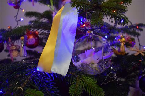 Різдвяні свята починаються зі святвечора 6 січня і закінчуються. З Новим роком та Різдвом Христовим! Веселих свят ...