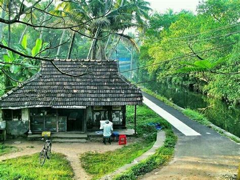 Get all the latest photos, images, picture on mohanlal only on news18.com. Kerala village....👌 | Beautiful places to travel, Kerala ...