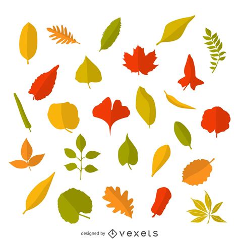 Autumn Leaves Illustration Vector Download