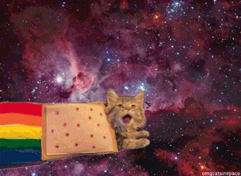 Stuff in space will drift apart like that, if you give it a slight push. Space Cat GIFs - Find & Share on GIPHY