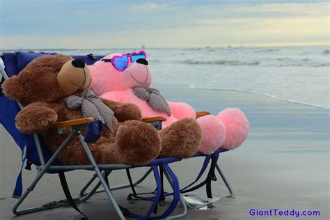 Oh Yeah Relaxation Bear On The Beach Style Sunny Cuddles And Lady