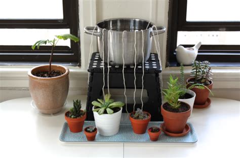 Diy Self Watering System For Houseplants — Info You Should