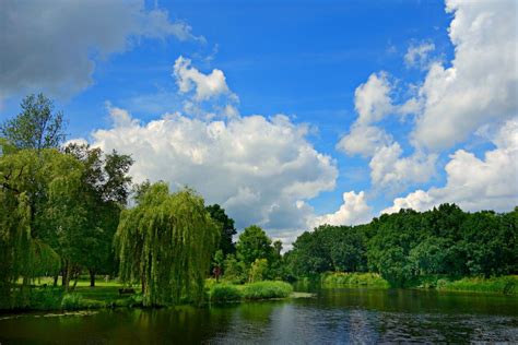 Free Images Landscape Tree Nature Cloud Meadow Lake