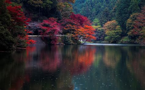 Nature Landscape Lake Trees Fall Colorful Kyoto Leaves Water Japan