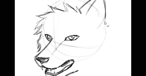 Wolf head vector drawing, wolf face drawing sketch, wolf head in black and white. Pin on Drawing Ideas