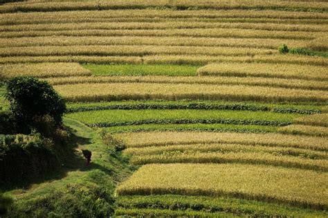 Off the beaten track | Nepali Times