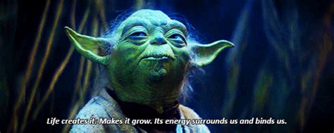 Master Yoda Speaks About The Force Star Wars The Force Star Wars