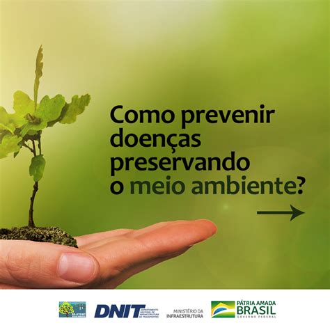 Como Prevenir Doenças Preservando O Meio Ambiente Br 070 Mt