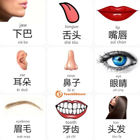 Rostro Chinese Language Learning Chinese Words Mandarin Chinese