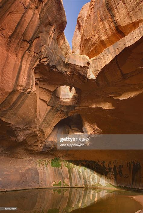 The Golden Cathedral Of Neon Canyon Grand Staircase Escalante National