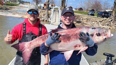 Paddlefish Guide Snags 637 Pound Bighead Carp Out Of Grand Lake System