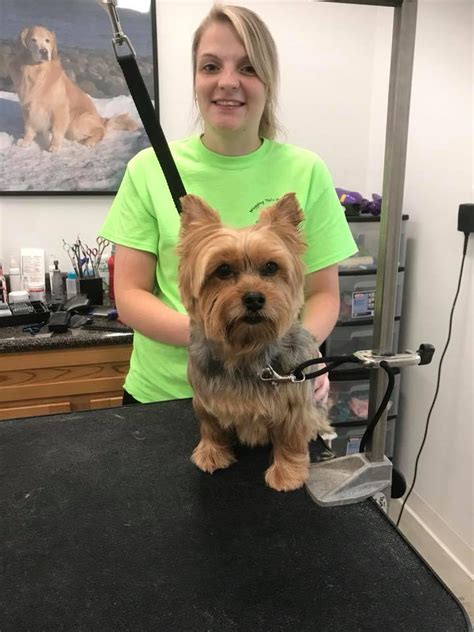 Is a indoor/outdoor facility that caters to the health, wellness. Dog and Cat Grooming at Wagging Tails Pet Resort in Hadley, MA