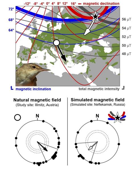 Map Eurasian Reed Warbler Bre Image Eurekalert Science News Releases