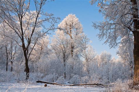 Image Winter Nature Seasons