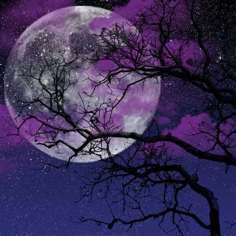 Beautiful With Images Beautiful Moon Moon Pictures Gothic Images
