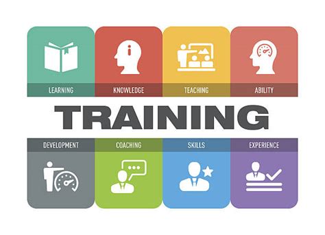 16900 Training And Development Icons Stock Illustrations Royalty