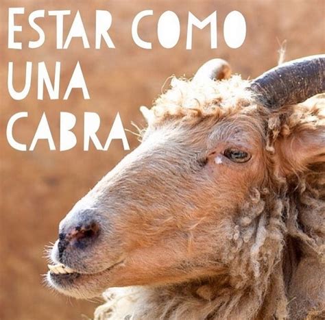 Frases Hechas En Español Estar Como Una Cabra Dencanto Community