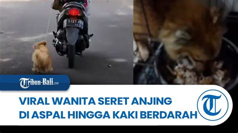 Berita Lokal Viral Video Wanita Kendarai Motor Sambil Seret Anjing Di
