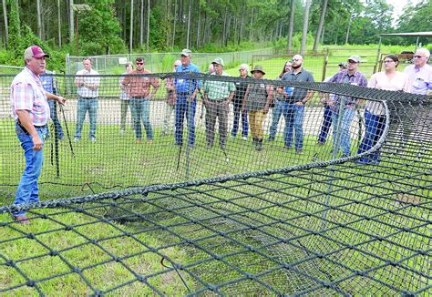 Feral Hogs Black Flies Topics Of Agcenter Hosted Meeting Ruston