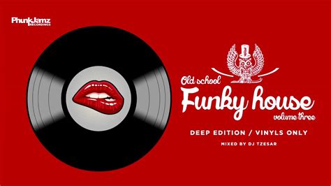 🌟 deep house classics and funky house vinyl mix 🌟 dj tzesar old school funky house 3 youtube