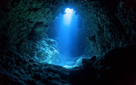 Plonger Dans La Fish Rock Cave En Australie Subchandlers