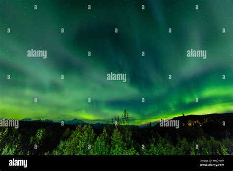 Aura Borealis Northern Lights In Denali Wilderness National Park