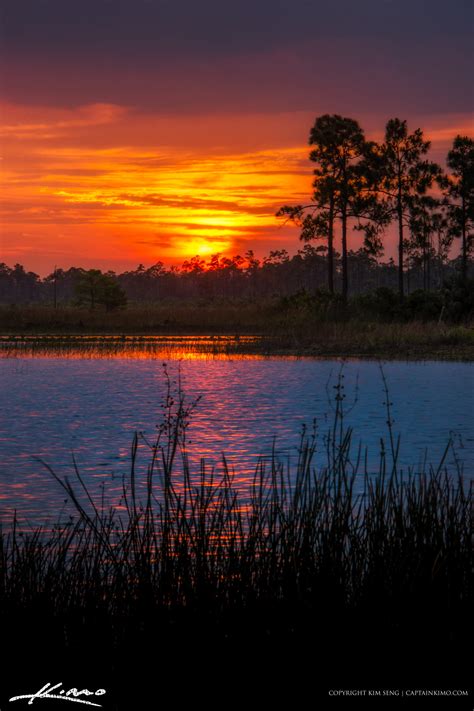 Florida Landscape Sunset Pine Forest Hdr Photography By Captain Kimo