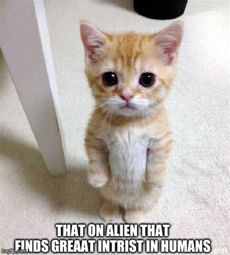 Alien Cat Imgflip
