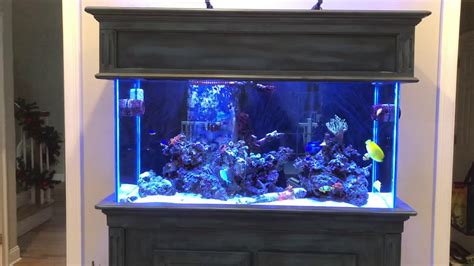 90 Gallon Reef Tank Youtube