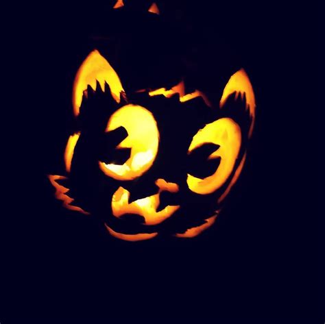 Cat O Lanterns 30 Of The Greatest Halloween Cat Pumpkin Designs