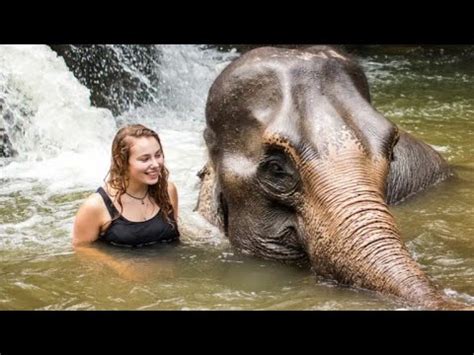Women Elephants Never Forget Incredible Memories Youtube
