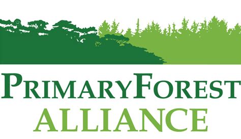 Primary Forest Alliance Primary Forests And Climate Program