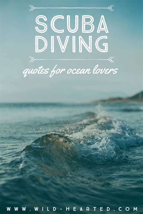 Maybe you would like to learn more about one of these? 90+ Scuba Diving Quotes That Put Your Love of the Ocean ...