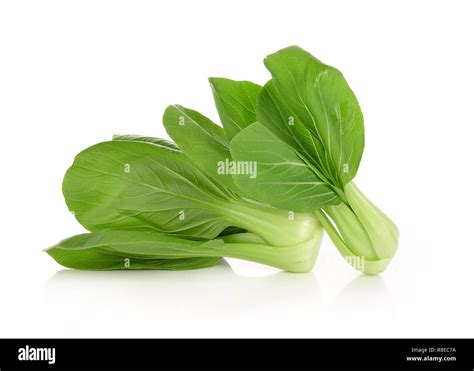 Bok Choy Chinese Cabbage Isolated On White Stock Photo Alamy