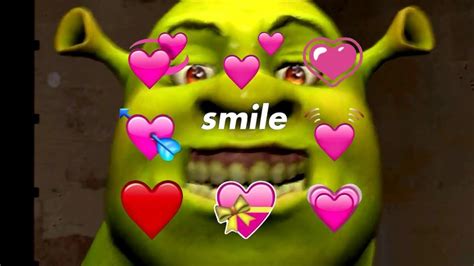 Youre So Precious When You Smile Shrek Shrek Shrek Memes When